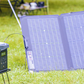 EcoFlow DELTA 2 + DELTA 2 Smart Extra Battery + 1 x 220W Solar Panel + DELTA 2 Bag