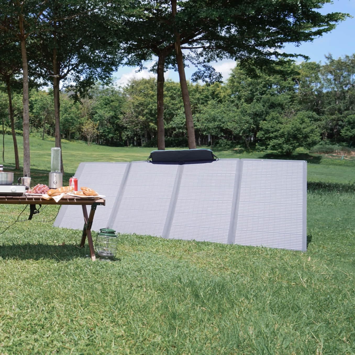 EcoFlow 400 Portable Solar Panel