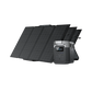 EcoFlow Delta Series + 160W Portable Solar Panel(s)