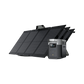 EcoFlow Delta Max 1600/2000 + 110W Portable Solar Panel(s)