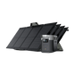 EcoFlow Delta Max 1600/2000 + 110W Portable Solar Panel(s)
