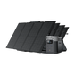 EcoFlow Delta Max (1600/2000) + 160W Portable Solar Panel(s)