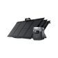 EcoFlow Delta Mini + 110W Portable Solar Panel(s)