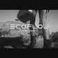 EcoFlow River 2 Pro + Portable Solar Panel(s)